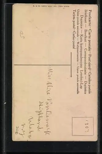 Foto-Collage-AK Junger Mann in einer Rose