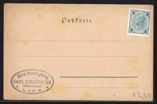 Künstler-AK Linz, Blick von der Pöstlingbergbahn in's Donauthal