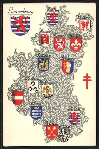 AK Wappenserie: Wappen von Luxemburg und Umgebung