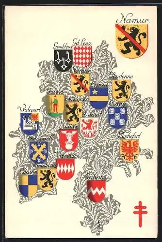 AK Wappen der belgischen Provinz Namur und grösserer Ortschaften