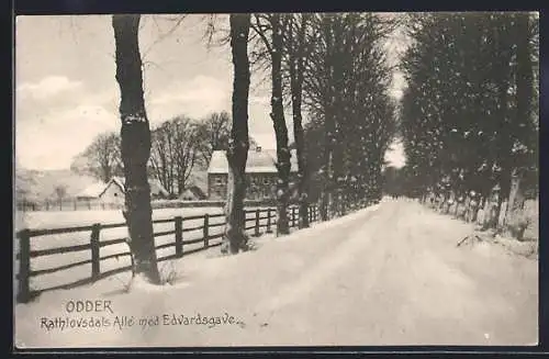 AK Odder, Rathlovsdals Allé med Edvardsgave