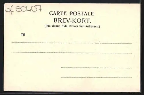 AK Kobenhavn, Kgs. Nytorv med det kgl. Teater