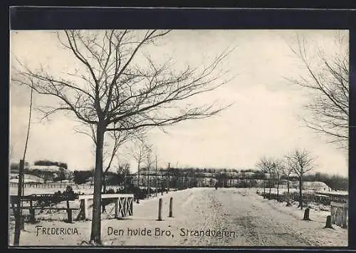 AK Fredericia, Den hvide Bro, Strandvejen