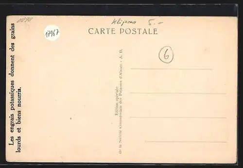 AK Ensisheim, Mines Domaniales de Potasses d`Alsace, Mine Amelie 1