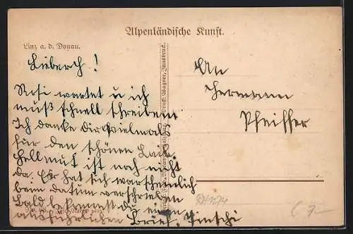 AK Linz a. d. Donau, Panorama, Flusspartie mit Dampfer