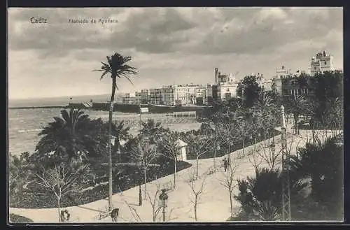 AK Cadiz, Alameda de Apodaca