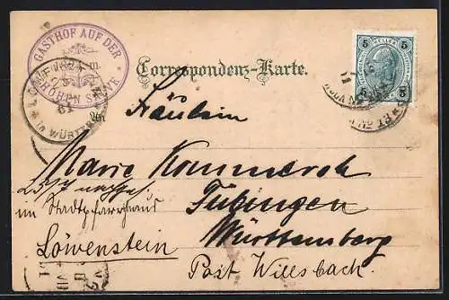 Lithographie Hohe Salve, Unterkunftshaus, Panorama, Gemse, Wanderausrüstung, Blumenverzierung