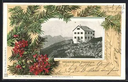 AK Stöhr-Haus auf dem Untersberg, Alpenrosen und Tannenzweige