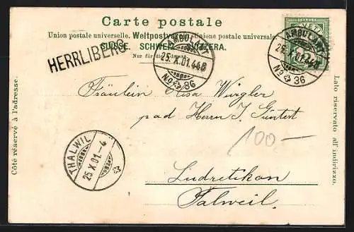 Passepartout-Lithographie Basel, Gross-Basel und alte Rheinbrücke