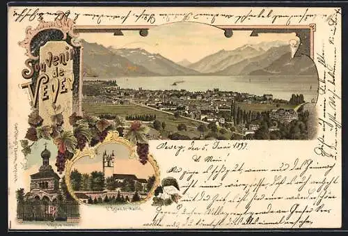 Lithographie Vevey, Ortsansicht von oben, St. Martins-Kirche, Weintrauben