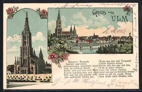 Lithographie Ulm / Donau, Münster, Donaubrücke vom Ufer aus