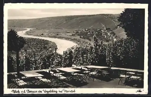 AK Volkach, Gasthaus und Weingut Vogelsburg, Blick ins Maintal