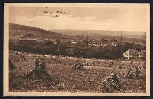 AK Hösbach-Bahnhof, Totale vom Feld aus gesehen