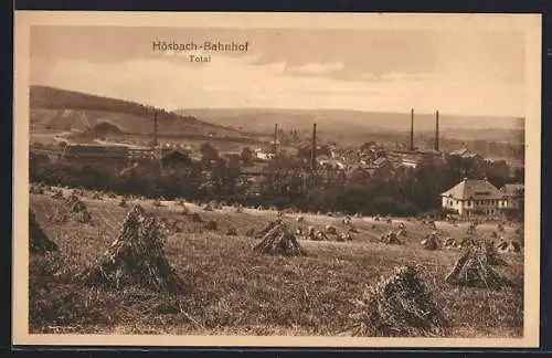 AK Hösbach-Bahnhof, Totale vom Feld aus gesehen