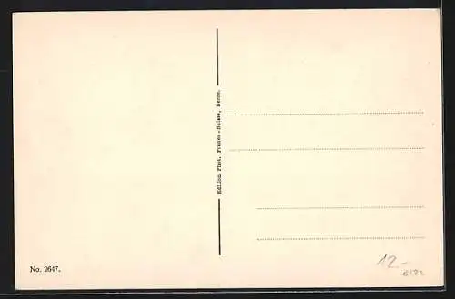 AK Thun, Totalansicht vom Thunerhof aus gesehen