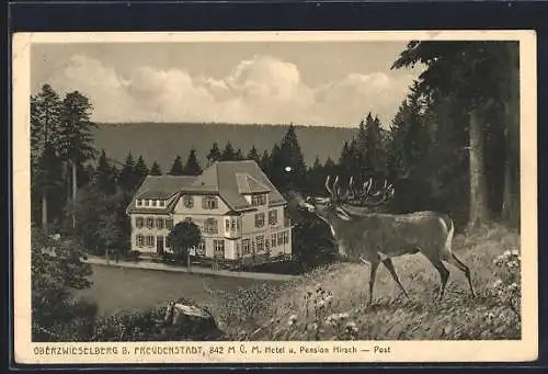 AK Oberzwieselberg /Freudenstadt, Hotel-Pension Hirsch von einem Berg aus, mit röhrendem Hirsch