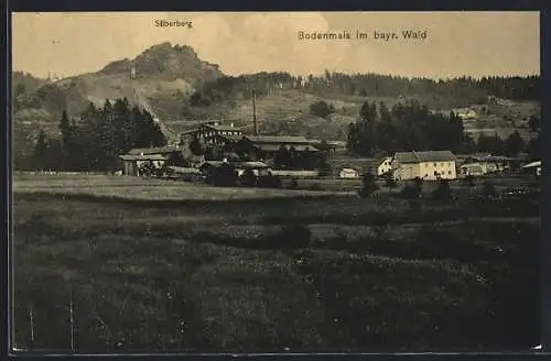 AK Bodenmais /Bay., Ortsansicht mit Silberberg