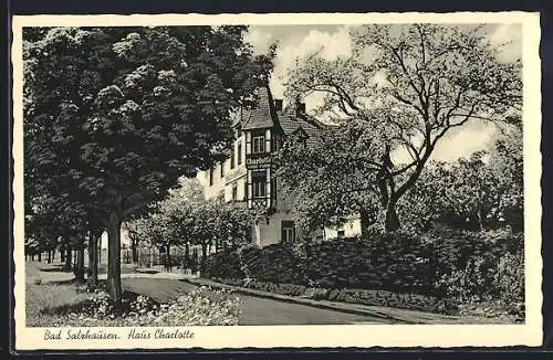 AK Bad Salzhausen /Nidda, Hotel Haus Charlotte O. Schultz mit Strasse