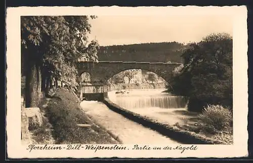 AK Pforzheim-Dill-Weissenstein, Nagold-Partie mit Wehr