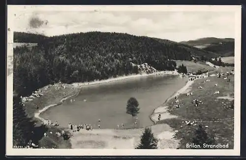 AK Brilon, Strandbad mit Umgebung aus der Vogelschau