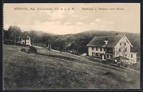 AK Bärental /Schwarzwald, Gasthaus-Pension zum Bären mit Umgebung