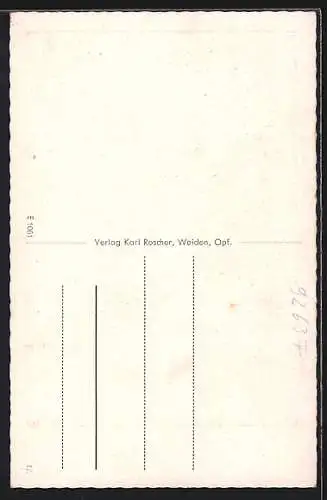 AK Weiden / Oberpfalz, Alte Stadtmauer am unteren Tor