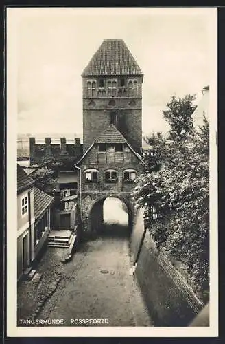 AK Tangermünde, Rosspforte mit Strassenpartie