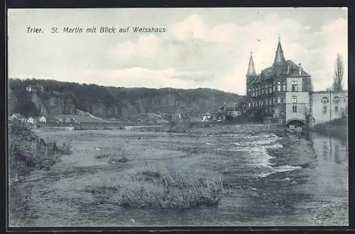 AK Trier, St. Martin mit Blick auf Weisshaus