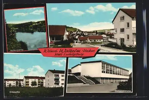 AK Walheim /Neckar, Gemeindehalle, Neckarpartie, Ortspartie