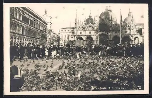 AK Venezia, Piccioni a S. Marco