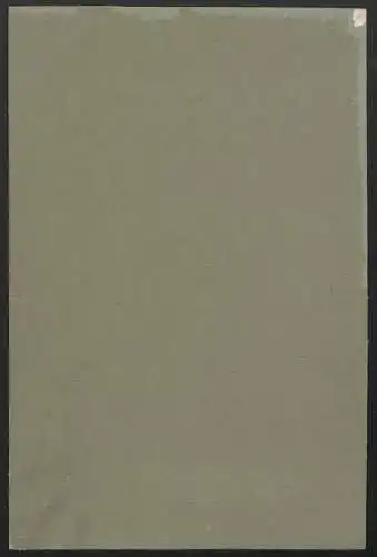 Handzeichnung / Ansichtskarten-Entwurf Künstler Fritz Bergen, Königin Therese von Sachsen-Hildburghausen, Signiert 1903