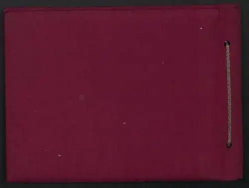 Fotoalbum mit 54 Fotografien, Ansicht Delitzsch, Löwen-Apotheke in der Breite Strasse 15, Inh. A. Schunke, 