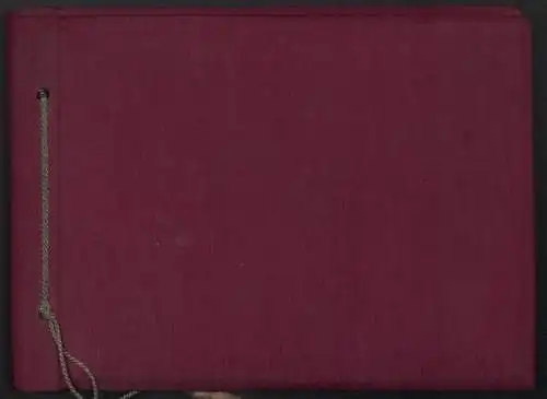 Fotoalbum mit 54 Fotografien, Ansicht Delitzsch, Löwen-Apotheke in der Breite Strasse 15, Inh. A. Schunke, 