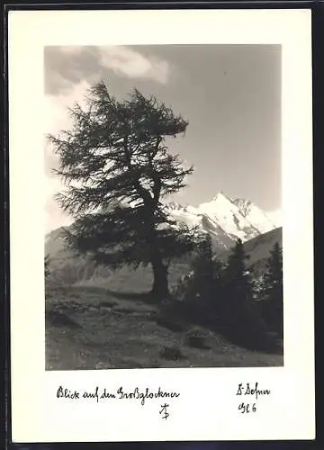 Foto-AK Adalbert Defner: Grossglockner, Berglandschaft mit Blick zum Gipfel