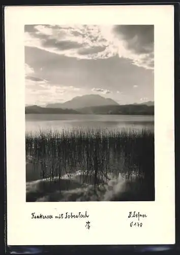 Foto-AK Adalbert Defner: Faakersee, Blick zum Dobratsch