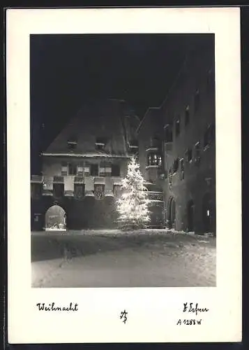 Foto-AK Adalbert Defner: Strassenpartie mit geschmücktem Weihnachtsbaum