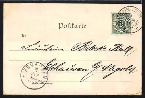 Lithographie Kirchheim a. Teck, Reussenstein, Teck und Totalansicht
