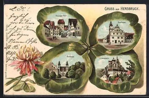 Passepartout-Lithographie Hersbruck, Rathaus, Torpartie, Schloss, Hohenstein im Kleeblatt