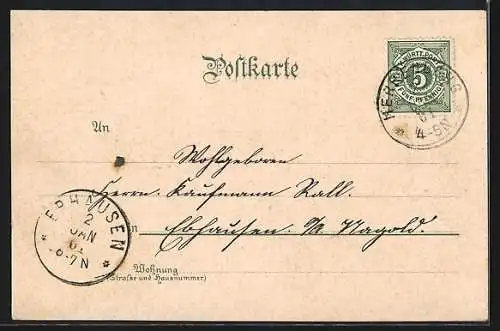 Lithographie Herrenberg, Gesamtansicht, Bezirkskrankenhaus