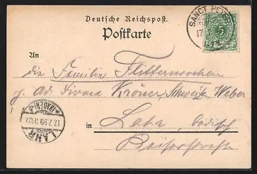 Lithographie St. Peter / Schwarzwald, Gasthaus z. Hirschen, Lindenberg, Unterer Zwerifall, Wallfahrtskirche, Teilansicht