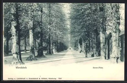 AK Hamburg-Wandsbek, Blick in die Bärenallee