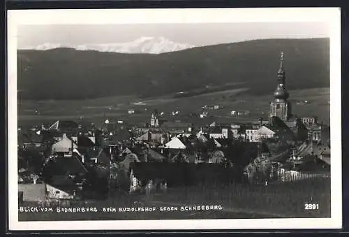 AK Baden, Blick vom Badnerberg beim Rudolfshof gegen Schneeberg