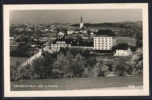 AK Aschbach Markt /N.-Ö., Ortsansicht im Frühling