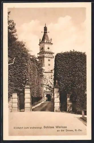 AK Wallsee an der Donau, Einfahrt zum erzherzogl. Schloss