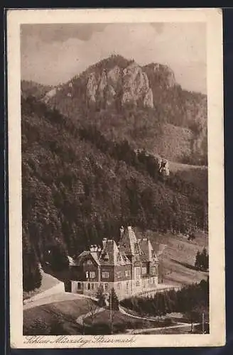 AK Mürzsteg /Steiermark, Schloss mit Umgebung