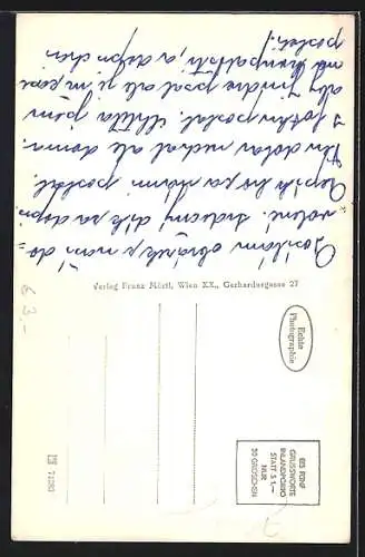 AK Weikertschlag an der Thaya, Ortsansicht im Sonnenschein