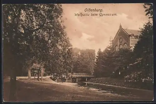 AK Oldenburg / O., Wallpartie beim Gymnasium