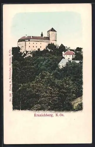 AK Kranichberg /N.-Oe., Blick zur Burg