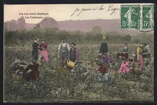 AK La vie aux champs-Les Vendanges, Landwirtschaft