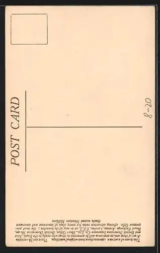 AK British Dominions, Educational Endowment Policy, The May of life only blooms once, Schiller, Junge mit Buch u. Hund